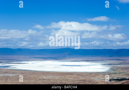 Tanzanie Ngorongoro National Park le lac salé dans le cratère Banque D'Images