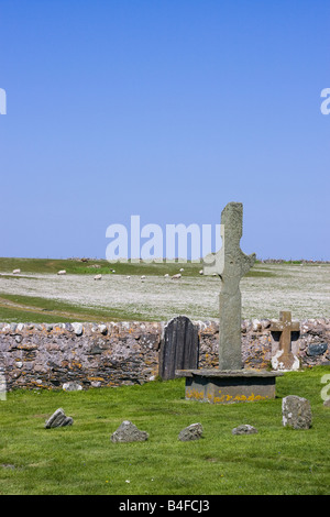 Kilnave Croix sur Islay, en Ecosse, les moutons à distance Banque D'Images