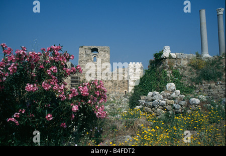 Le 12ème siècle château des Croisés de Byblos, Liban. Banque D'Images