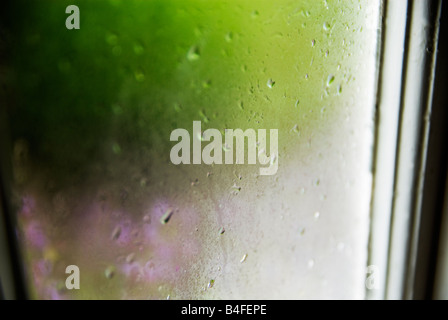 Les gouttelettes d'eau de pluie sur un vieux pays fenêtre avec un fond de végétation verte et fleurs mauve violet Banque D'Images