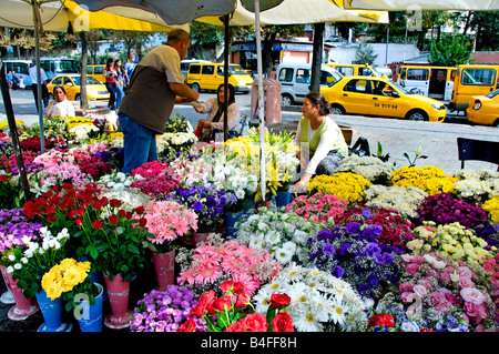 Uskudar Istanbul fleuriste fleurs fleuriste floriculturist de décrochage de marché des plantes shop Banque D'Images