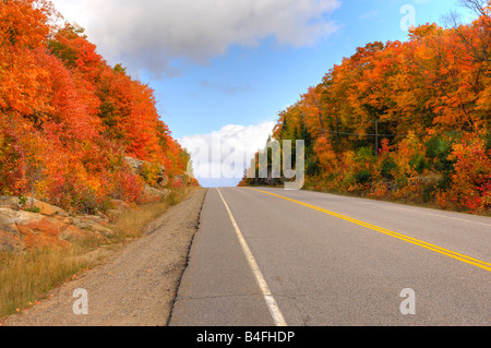 Route automne Banque D'Images