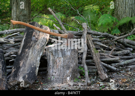 Ax dans une souche outil utilisé pour couper du bois de chauffage de la pile Banque D'Images
