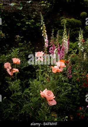 UK Angleterre Goudhurst Lamberhurst Kent Gardens Banque D'Images