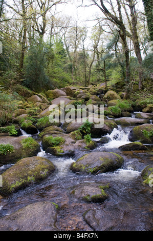 Becky Falls, Parc National de Dartmoor Banque D'Images