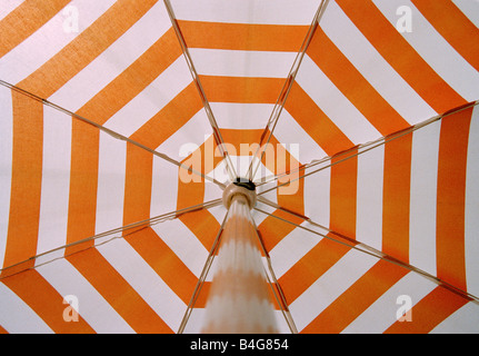 Portrait d'un parasol, close-up Banque D'Images