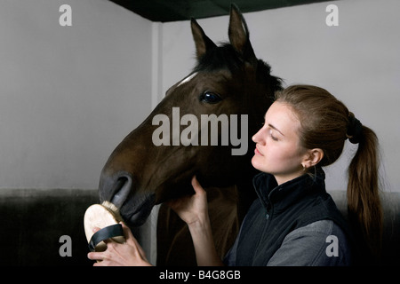 Une jeune femme se toiletter un cheval Banque D'Images