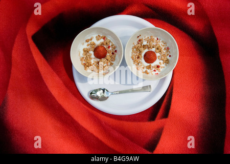 Deux bols de yaourt, muesli et des fraises sur une couverture avec une rose imprimer Banque D'Images