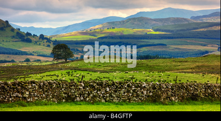 Lake District, paysage, England, UK en automne Banque D'Images