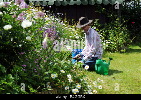 Un homme dans un chalet jardin jardinage à la fin du printemps, Worcestershire Banque D'Images