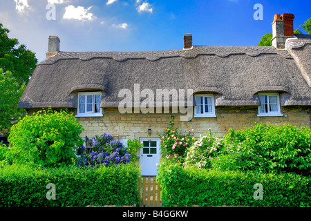 Chaumière en été Empingham village Rutland comté Angleterre Grande-bretagne UK Banque D'Images