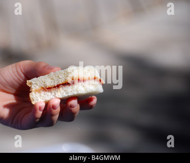 Close up d'un sandwich au beurre d'arachide et confiture Banque D'Images