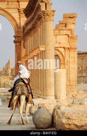 Camel dans les ruines de Palmyre, en Syrie Banque D'Images