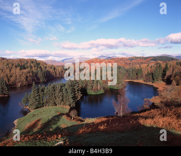 Tarn Hows et vue vers Helvellyn, Lake District, Cumbria, Angleterre Banque D'Images