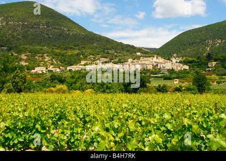 De plus en plus dans le champ de vigne avec village en arrière-plan, Loriol du Comtat, Vaucluse, Provence-Alpes-Côte d'Azur, France Banque D'Images