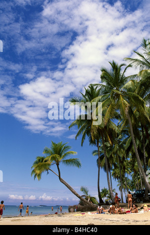 Tourist près de palmiers sur la plage Las Terrenas Samana République Dominicaine Province Banque D'Images