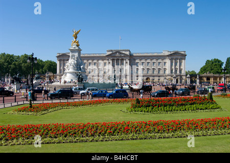 En fleurs fleurs dans jardin avec en arrière-plan le Palais de Buckingham Palace City Of Westminster London Angleterre Banque D'Images