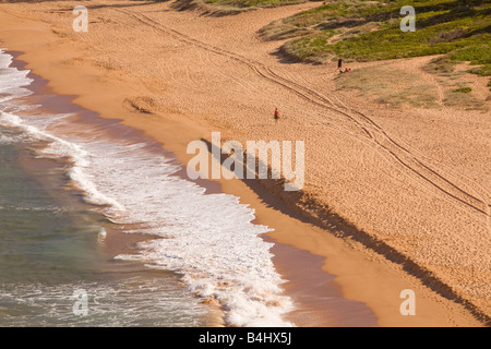 Newport Beach, l'un des célèbres plages du nord de Sydney. Banque D'Images