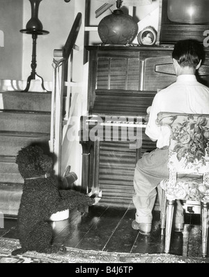 Le caniche français Bobbie se tient à l'attention quand il entend l'hymne national joué ici monsieur l'Henson diffuse des Dieu sauve la reine sur le piano et Bobbie dûment se lève sur ses pattes de derrière Banque D'Images