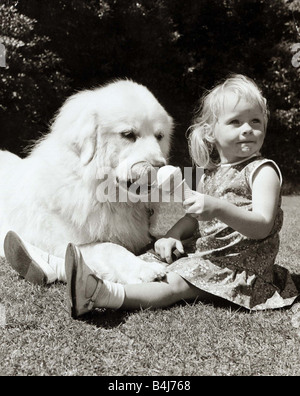 Une petite fille partage son ice cream avec son chien qui lèche son nez en prévision de la traiter de produits laitiers Banque D'Images