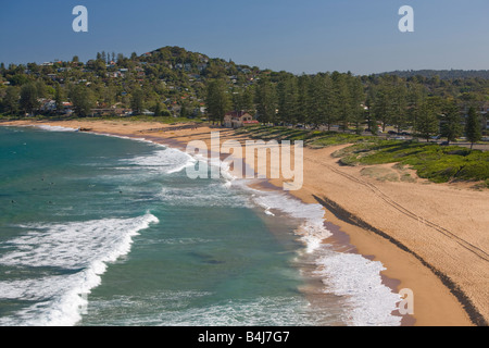 À la recherche de Sydney au sud le long de la plage de Newport et la mer de Tasman, Sydney, New South Wales, Australie Banque D'Images