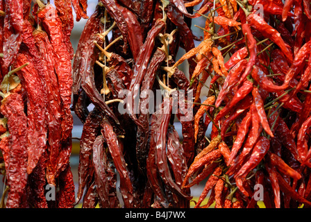 Piment rouge au marché de la Boqueria à Barcelone, Espagne Banque D'Images