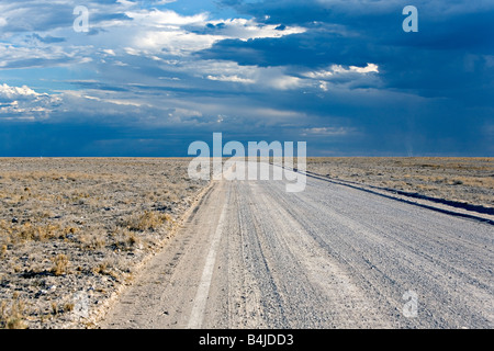 Une vue panoramique d'un orage lointain sur le Parc National d'Etosha en Namibie Banque D'Images