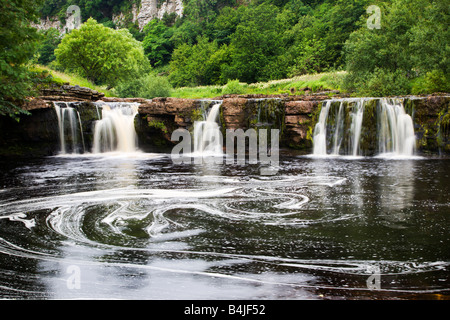 Le Wath Wain vigueur Keld Swaledale England Yorkshire Dales Banque D'Images