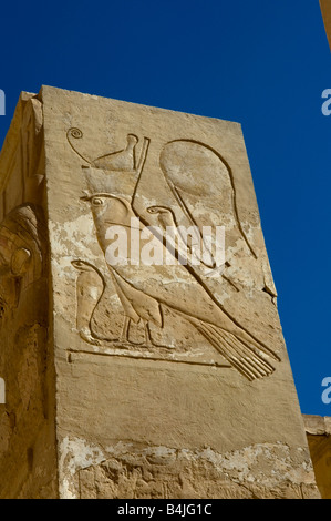 Bas-relief du dieu égyptien Horus, Reine Hatshepsuts temple funéraire, UNESCO World Heritage Site, nécropole thébaine, Luxor Banque D'Images
