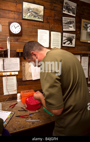 L'étude de la migration des oiseaux par une sonnerie ou un baguage à repousser un observatoire d'oiseaux. Banque D'Images