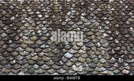 Couverture écailles de poisson dans la vallée du Lot, France Banque D'Images