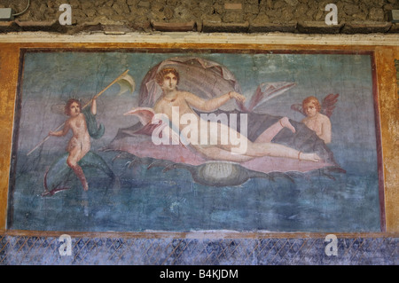 Fresque de la chambre de Vénus dans le coquillage à Pompéi Banque D'Images