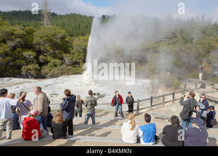 Les gens qui regardent le Lady Knox Geyser à Wai-O-Tapu réserve géothermique de Rotorua Nouvelle Zélande Île du Nord Banque D'Images