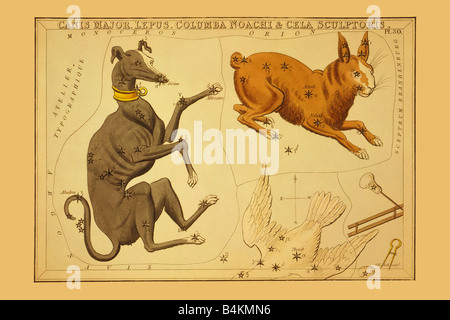 Canis Major, Lepus, Cela Noachi & Sculptoris Columba Banque D'Images