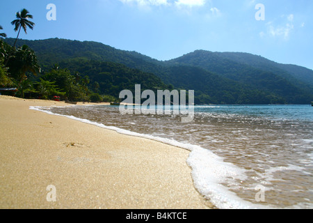 Plage paradis parfait et palmier, Ilha Grande, Brésil Banque D'Images