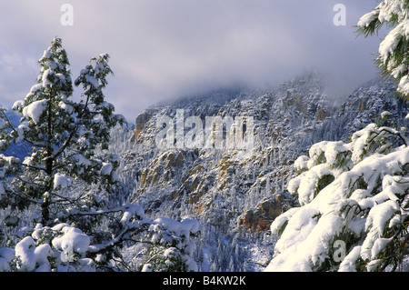 Tempête sur Oak Creek Canyon près de Sedona, Arizona Banque D'Images