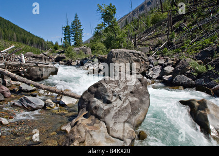 L'embranchement nord de la rivière Blackfoot dans le bouc émissaire Wilderness Area près de Missoula, Montana Banque D'Images