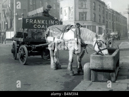 Cheval et panier de charbon tirant à travers les rues de Londres s Franklin cheval livraison de charbon de l'eau potable à travers les animaux de travail travail assoiffé autrefois jours Juin 1955 Banque D'Images