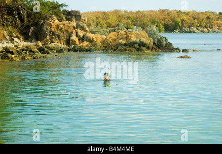 Snorkeler monté pour l'air St John, USVI Banque D'Images