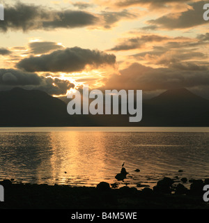 Heron au lever du soleil sur le Loch Linnhe, Kilmalieu, Morven, Lochaber, Highlands, Scotland, UK Banque D'Images