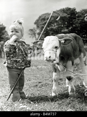 Peu d'toddlet Anne Jeune 18 mois se fait des amis avec Skerrington Alpha un veau vendu à Nord pour 3000 avant même d'être né peu Bo Peep a perdu ses moutons et un veau founf Août 1971 Banque D'Images