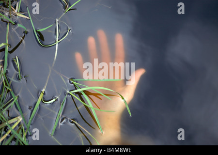 Noyé Banque D'Images