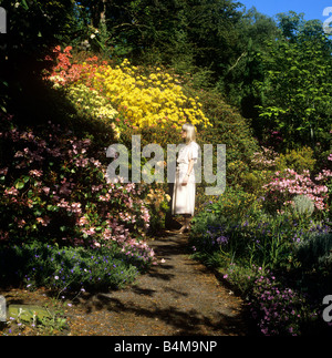 UK Angleterre Cheshire Alderley Edge femme de rhododendron azalea garden Banque D'Images