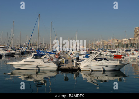 Bateaux dans la marina, Alicante, Alicante Province, Comunidad Valenciana, Espagne Banque D'Images