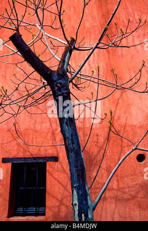 L'Art sur un mur en Roussillon Provence Banque D'Images