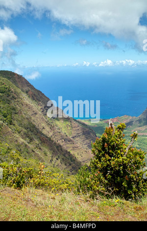 Pu'u o Kila Lookout Kaua'i HI Banque D'Images