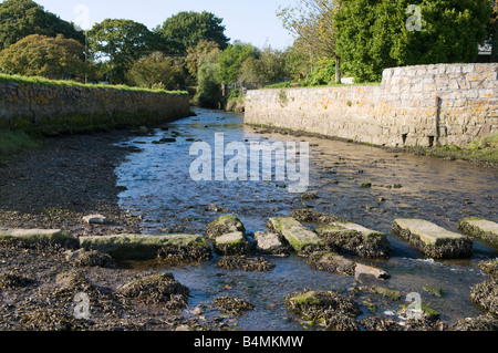 Pierres de gué sur la rivière, Mylor Bridge, Cornwall Banque D'Images
