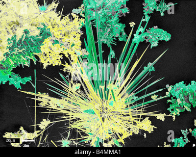 Image en fausses couleurs EMS des nanotubes de carbone qui offrent des médicaments contre le cancer jusqu'à la site de la maladie au cours de traitement de chimiothérapie Banque D'Images