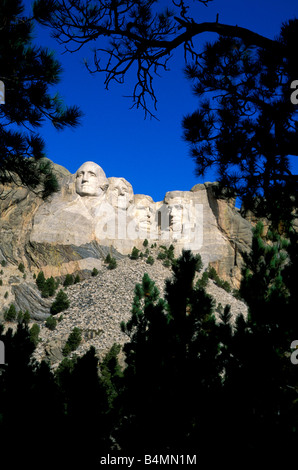 La lumière du matin sur le Mont Rushmore par silhouetté pins Mount Rushmore National Memorial le Dakota du Sud Banque D'Images