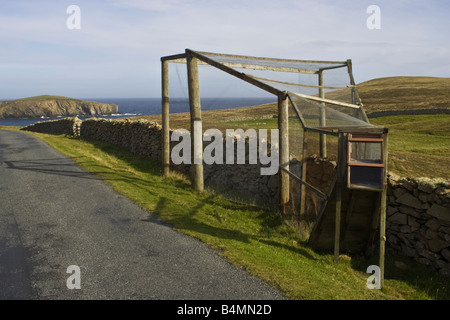 Un piège, appelé un piège Helgoland, pour les oiseaux qui sonne à l'observatoire d'oiseaux sur Fair Isle, Shetland, UK Banque D'Images